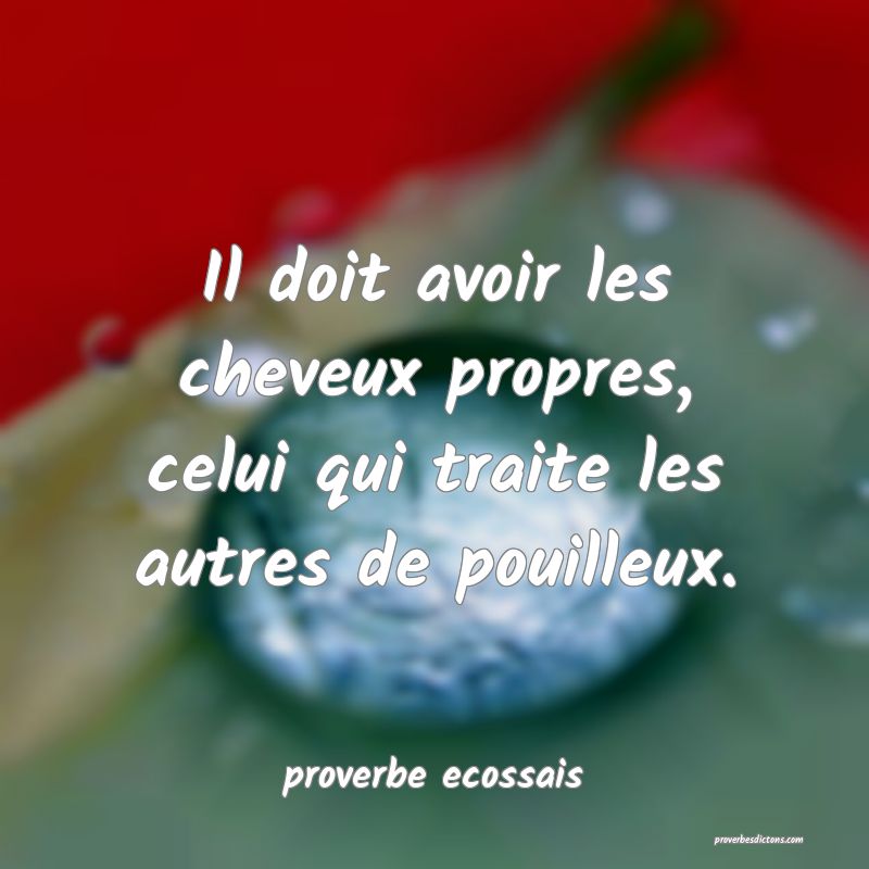 Il doit avoir les cheveux propres, celui qui traite les autres de pouilleux.