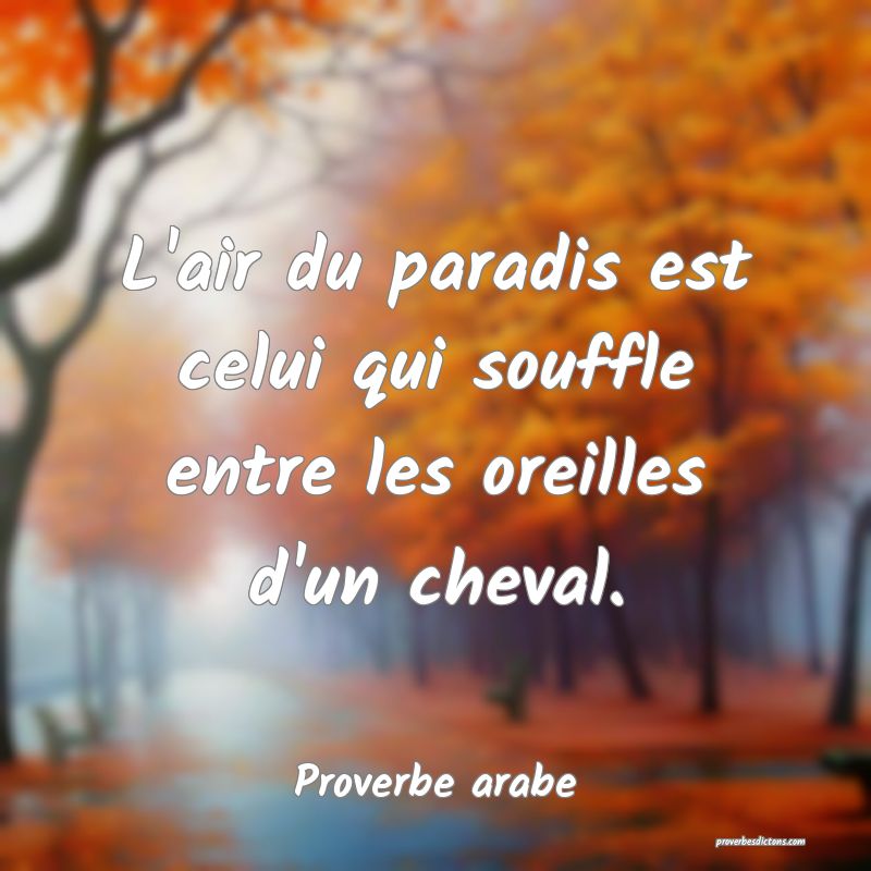 L'air du paradis est celui qui souffle entre les oreilles d'un cheval.