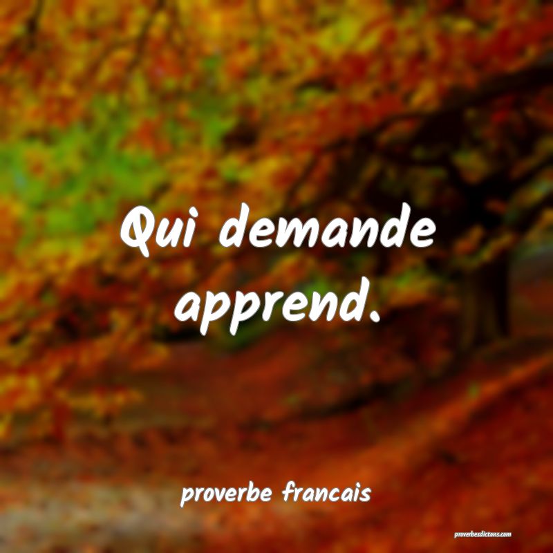Qui demande apprend.