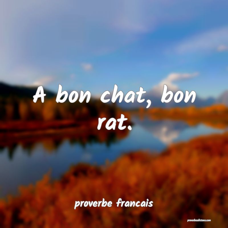 A bon chat, bon rat.