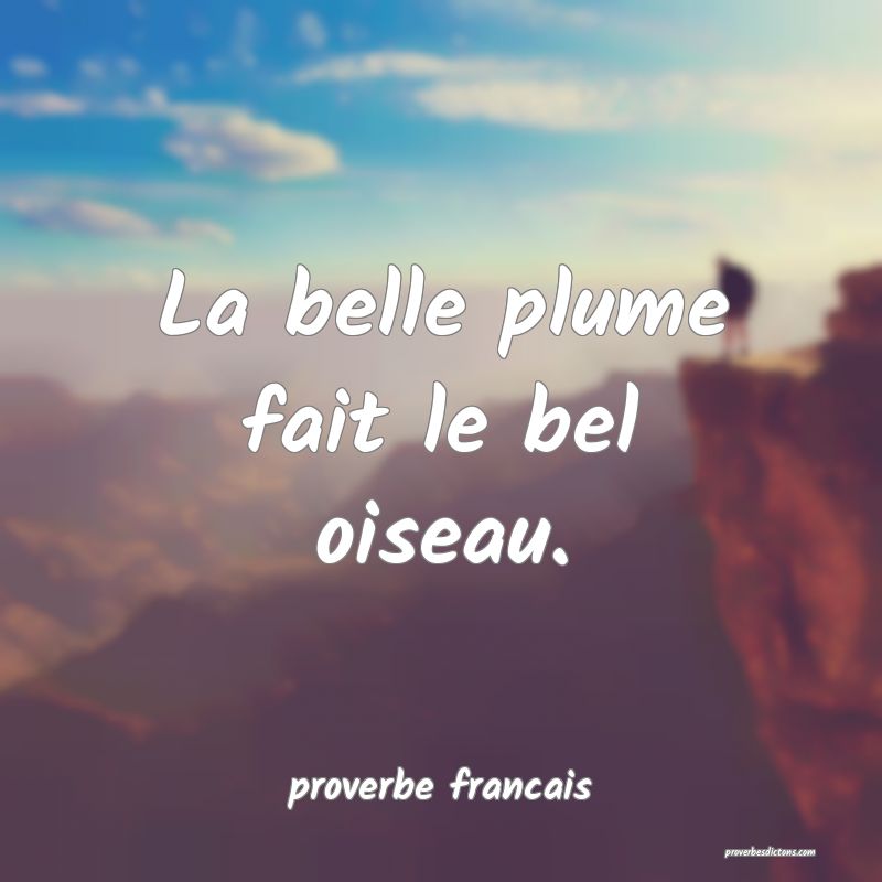 La belle plume fait le bel oiseau.
