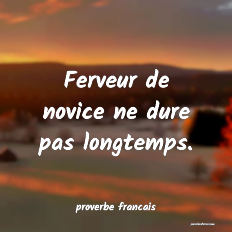 Ferveur de novice ne dure pas longtemps.