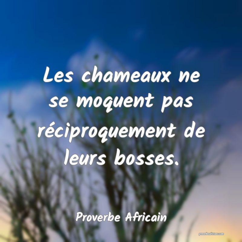 Les chameaux ne se moquent pas réciproquement de leurs bosses.