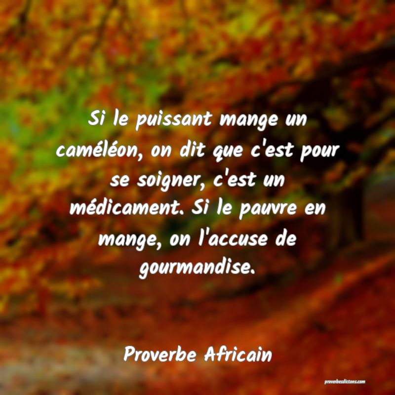Si le puissant mange un caméléon, on dit que c'est pour se soigner, c'est un médicament. Si le pauvre en mange, on l'accuse de gourmandise.