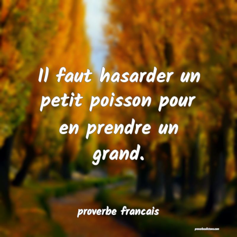 Il faut hasarder un petit poisson pour en prendre un grand.