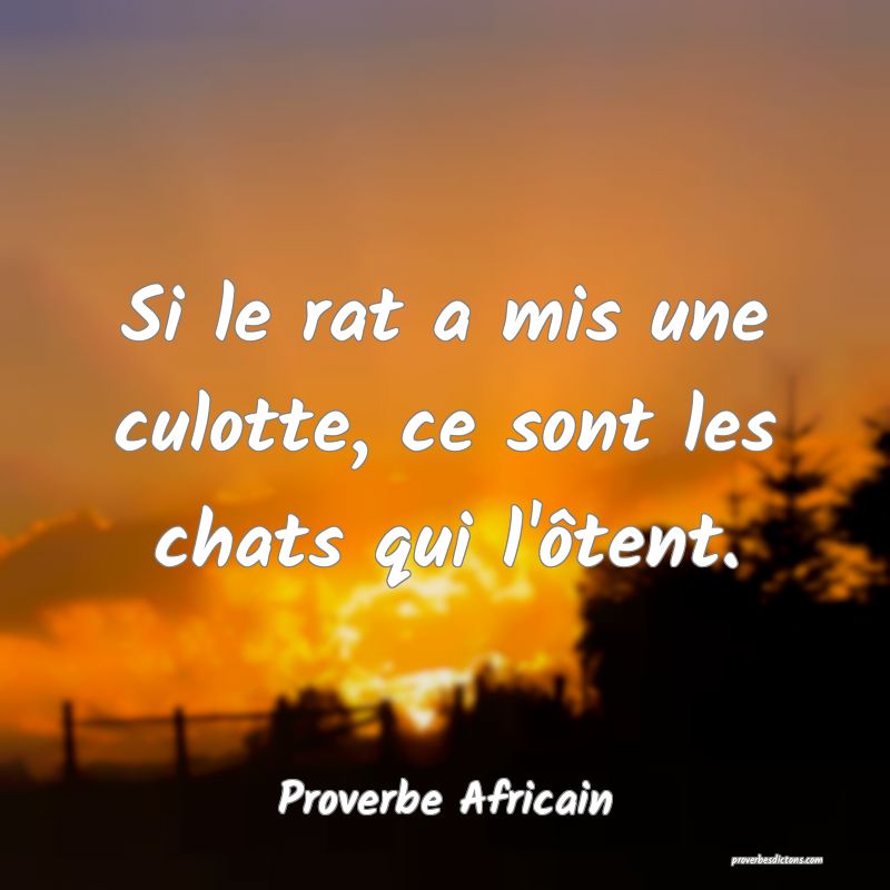 Si le rat a mis une culotte, ce sont les chats qui l'ôtent.