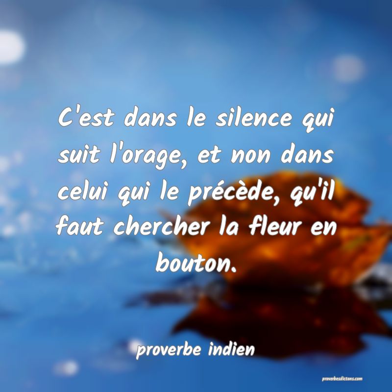 C'est dans le silence qui suit l'orage, et non dans celui qui le précède, qu'il faut chercher la fleur en bouton.