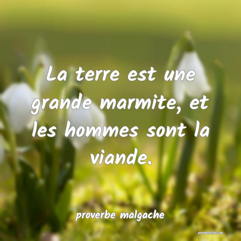  La terre est une grande marmite, et les hommes sont la viande.