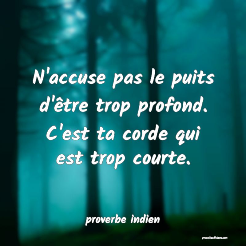 N'accuse pas le puits d'être trop profond. C'est ta corde qui est trop courte.