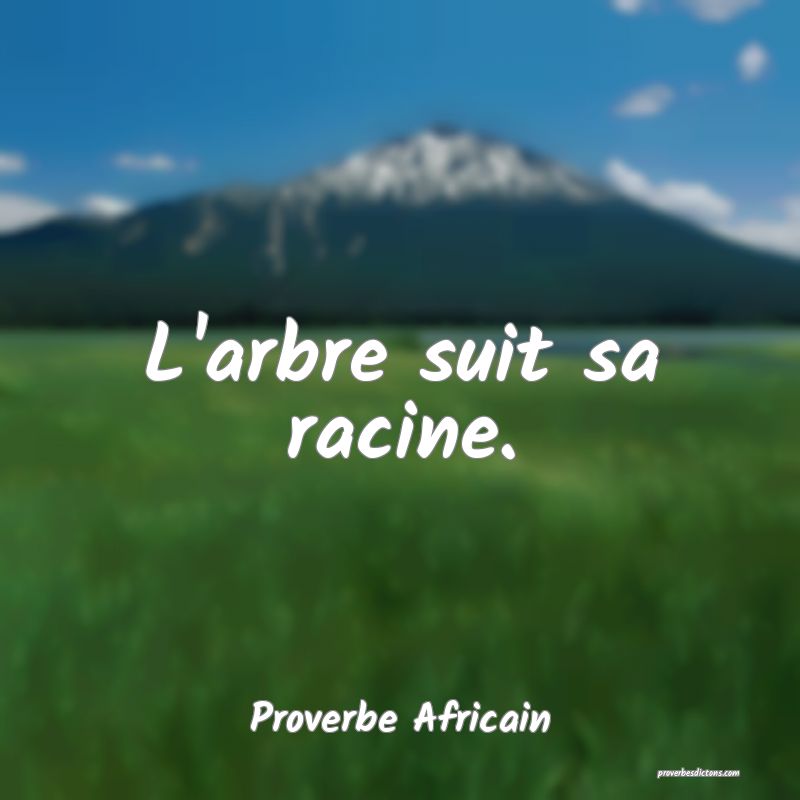 L'arbre suit sa racine.