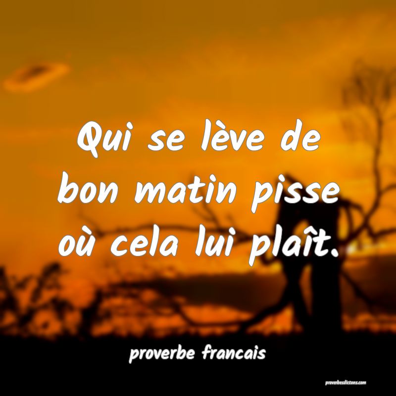 Qui se lève de bon matin pisse où cela lui plaît.