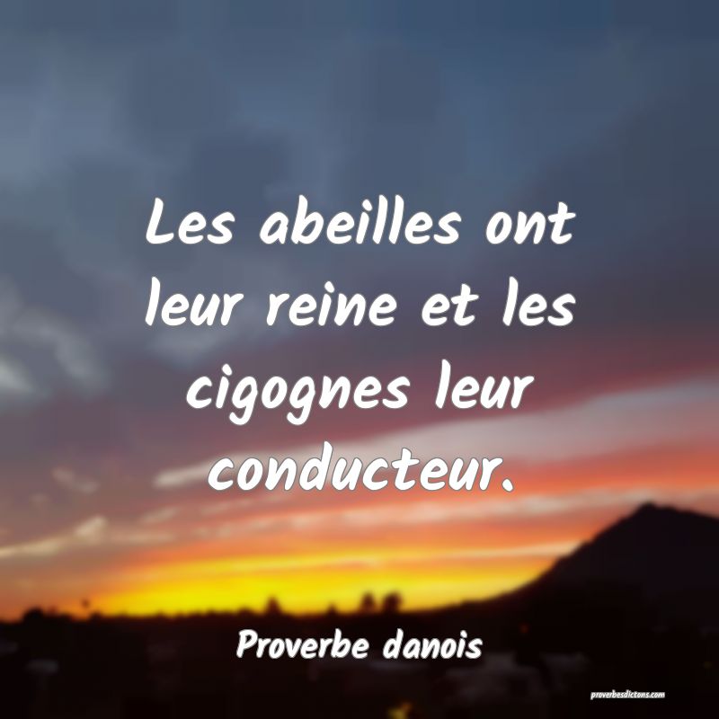 Les abeilles ont leur reine et les cigognes leur conducteur.