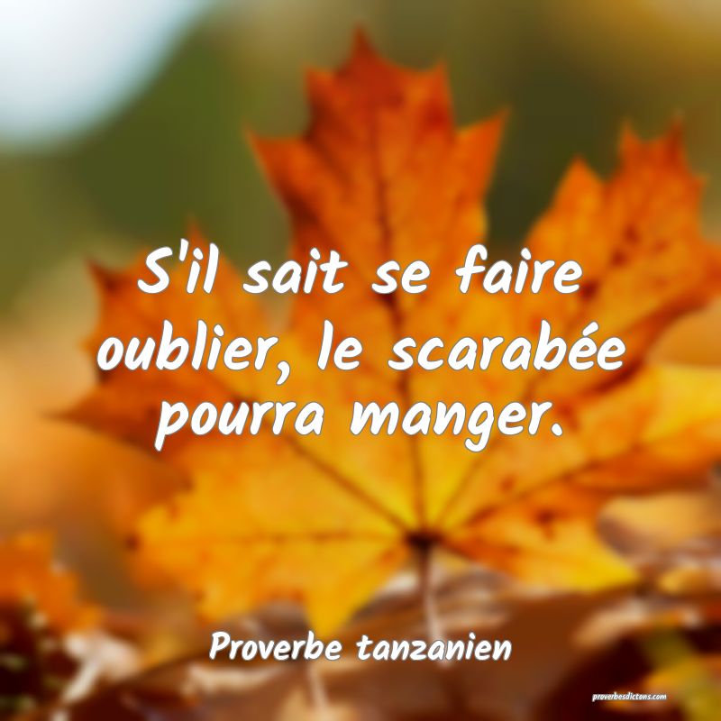 S'il sait se faire oublier, le scarabée pourra manger.