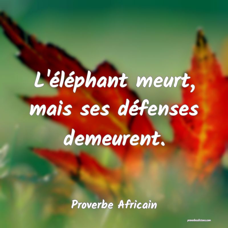 L'éléphant meurt, mais ses défenses demeurent.