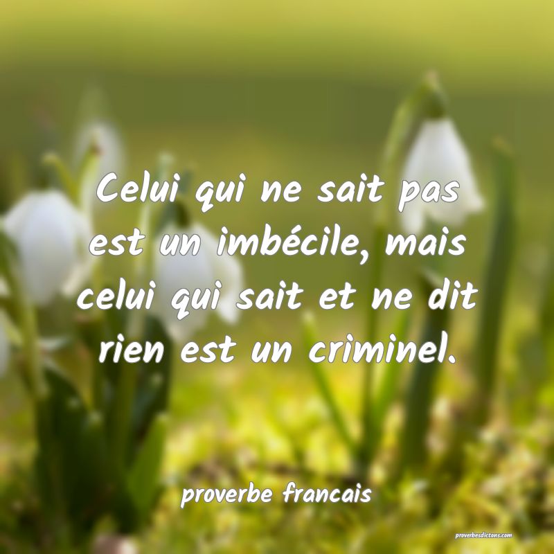 Celui qui ne sait pas est un imbécile, mais celui qui sait et ne dit rien est un criminel.