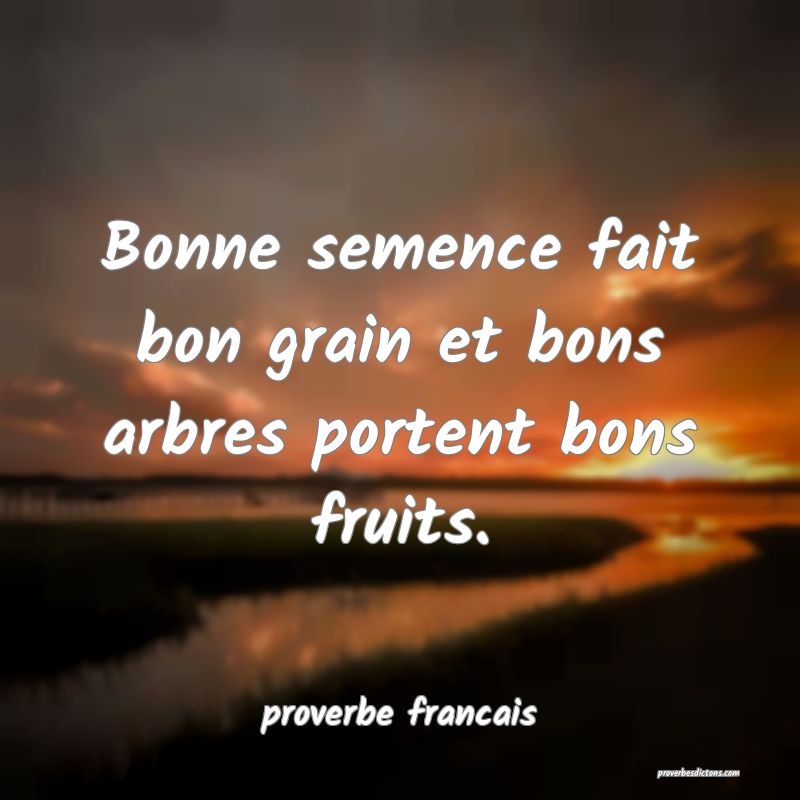  Bonne semence fait bon grain et bons arbres portent bons fruits.