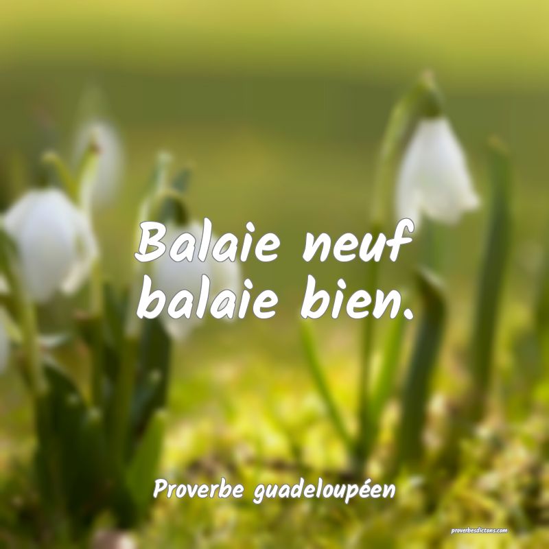 Balaie neuf balaie bien.
