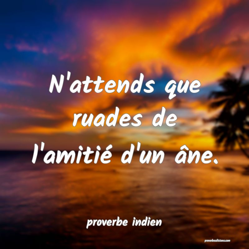 N'attends que ruades de l'amitié d'un âne.
