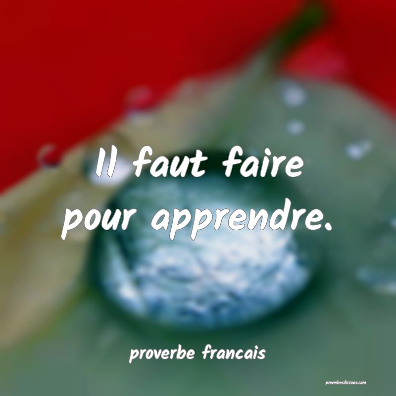 Il faut faire pour apprendre.