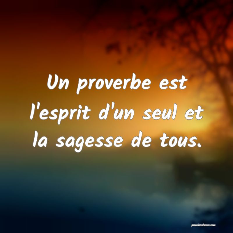 Un proverbe est l'esprit d'un seul et la sagesse de tous.