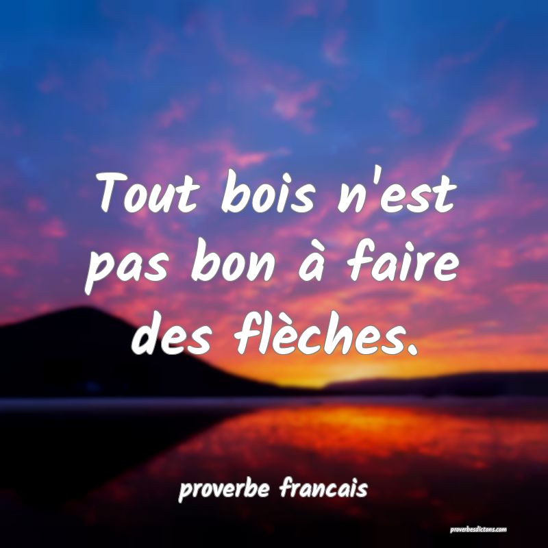 Tout bois n'est pas bon à faire des flèches.