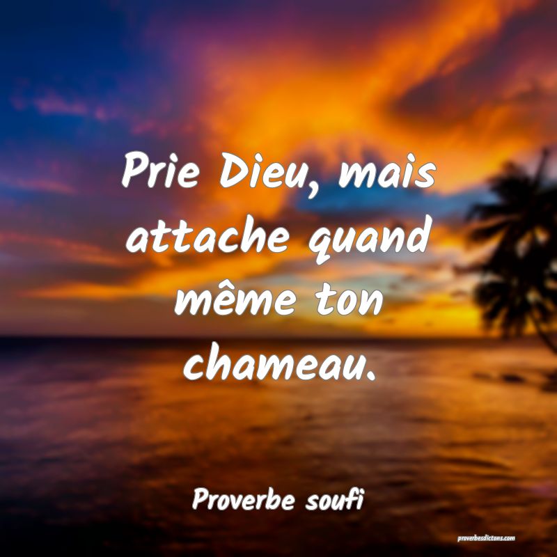 Prie Dieu, mais attache quand même ton chameau.