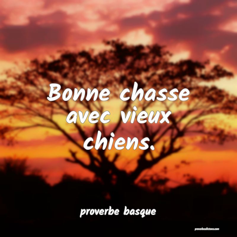  Bonne chasse avec vieux chiens.