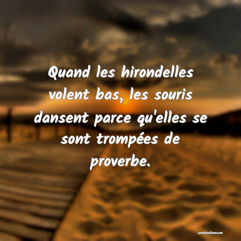 Quand les hirondelles volent bas, les souris dansent parce qu'elles se sont trompées de proverbe.