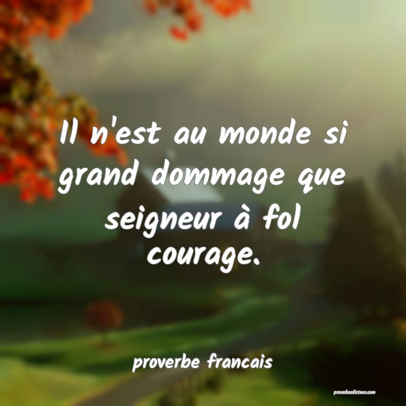 Il n'est au monde si grand dommage que seigneur à fol courage.