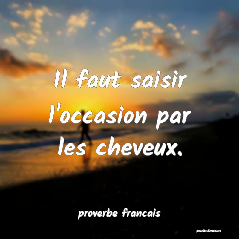 Il faut saisir l'occasion par les cheveux.