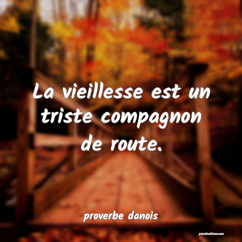  La vieillesse est un triste compagnon de route.