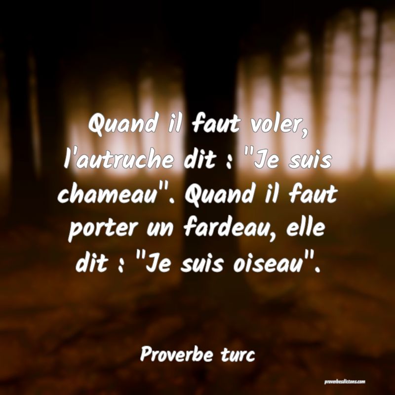 Quand il faut voler, l'autruche dit : 