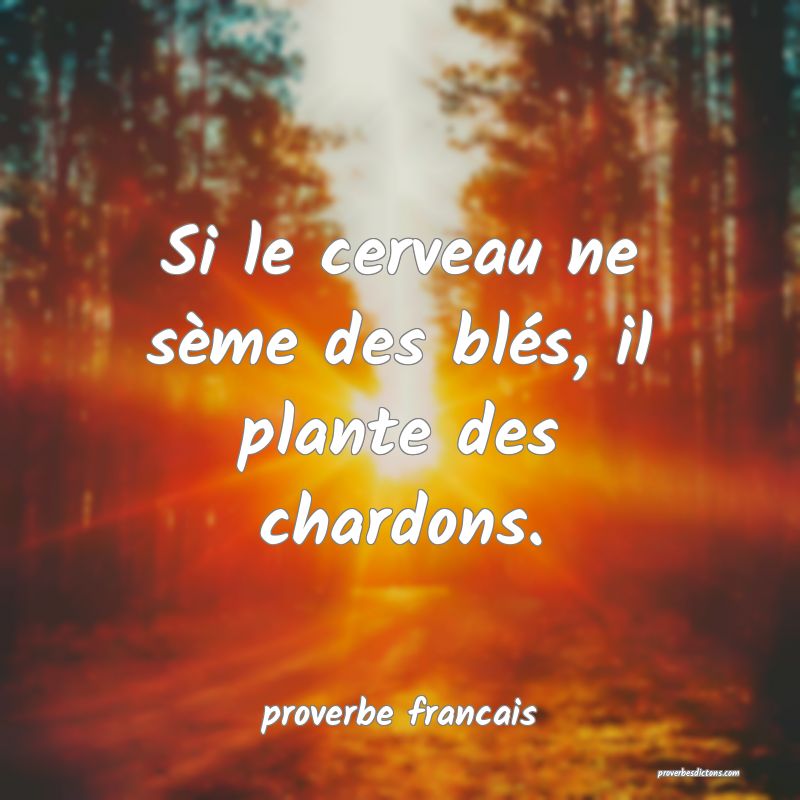 Si le cerveau ne sème des blés, il plante des chardons.