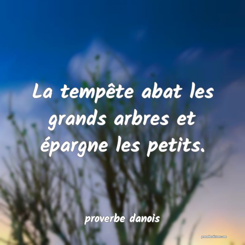  La tempête abat les grands arbres et épargne les petits.