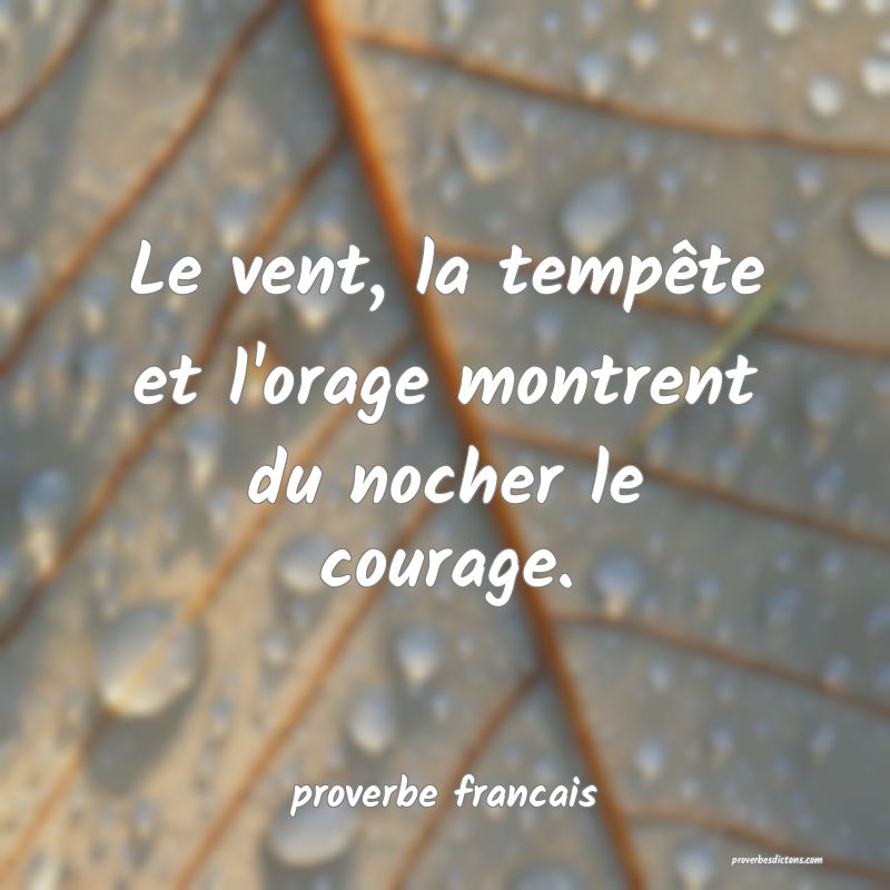 Le vent, la tempête et l'orage montrent du nocher le courage.