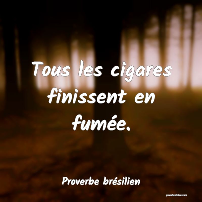 Tous les cigares finissent en fumée.