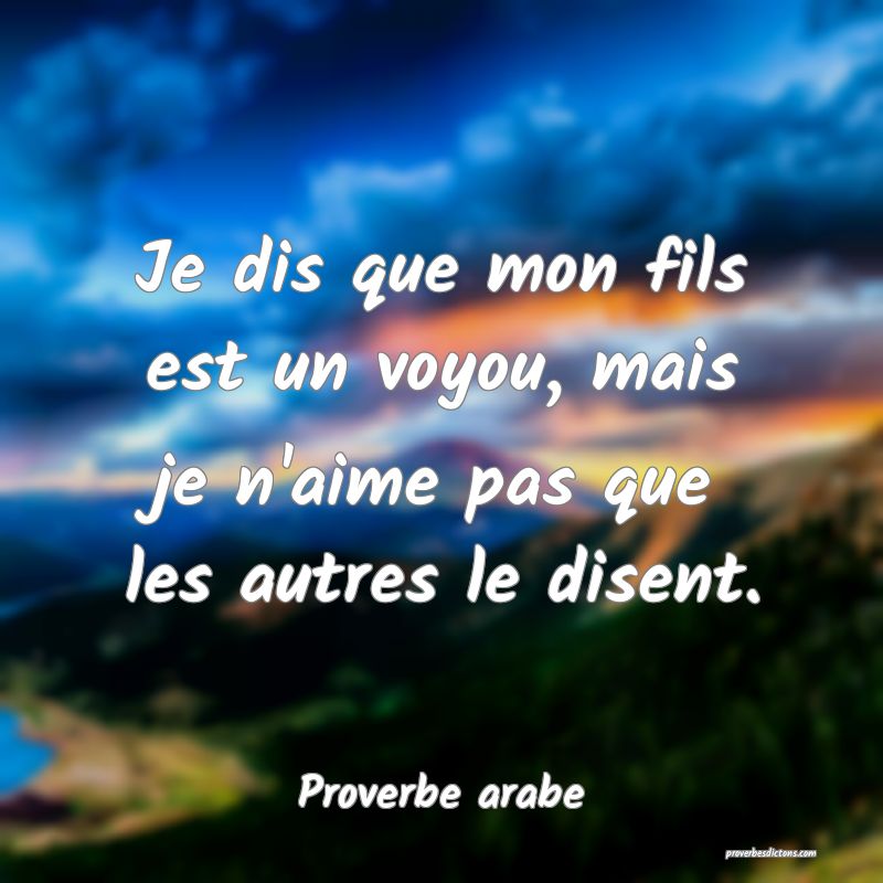 Je dis que mon fils est un voyou, mais je n'aime pas que les autres le disent.