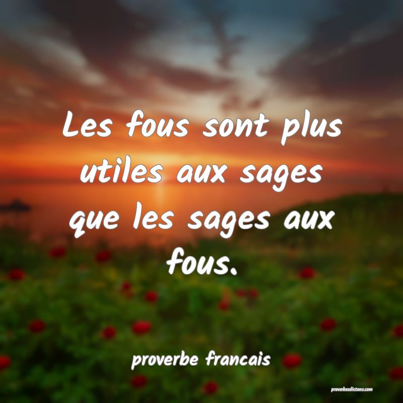 Les fous sont plus utiles aux sages que les sages aux fous.