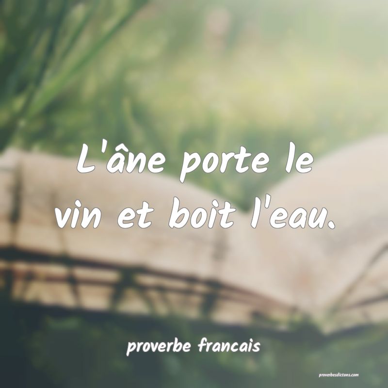 L'âne porte le vin et boit l'eau.