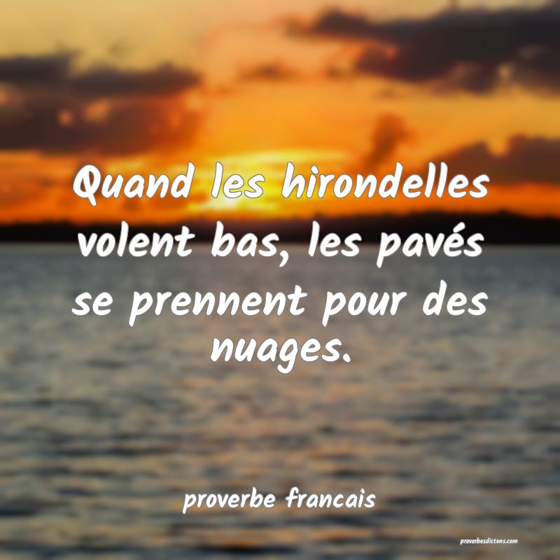 Quand les hirondelles volent bas, les pavés se prennent pour des nuages.