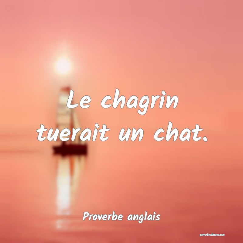  Le chagrin tuerait un chat.