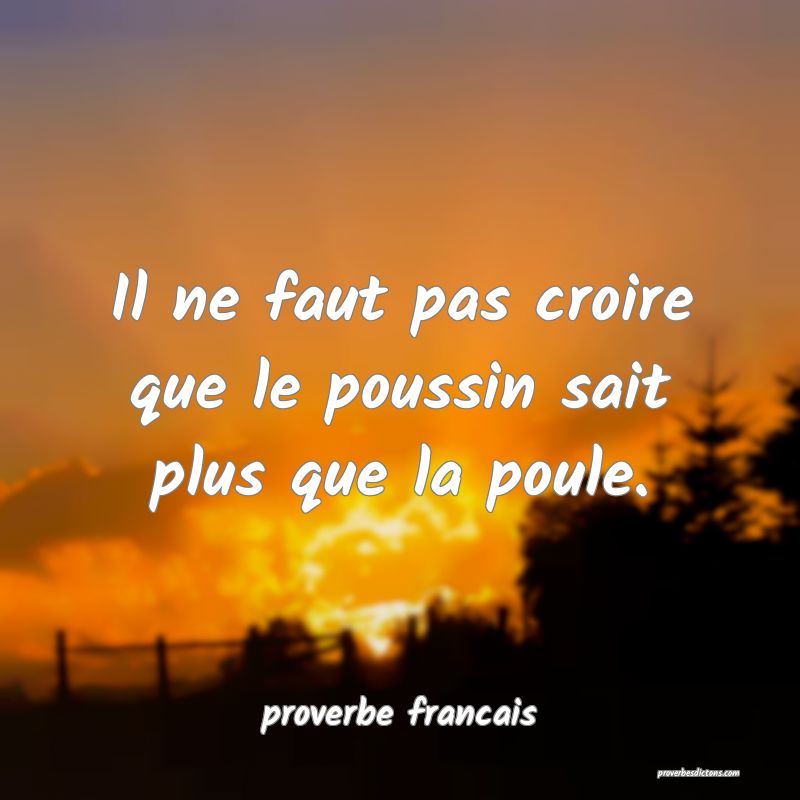 Il ne faut pas croire que le poussin sait plus que la poule.