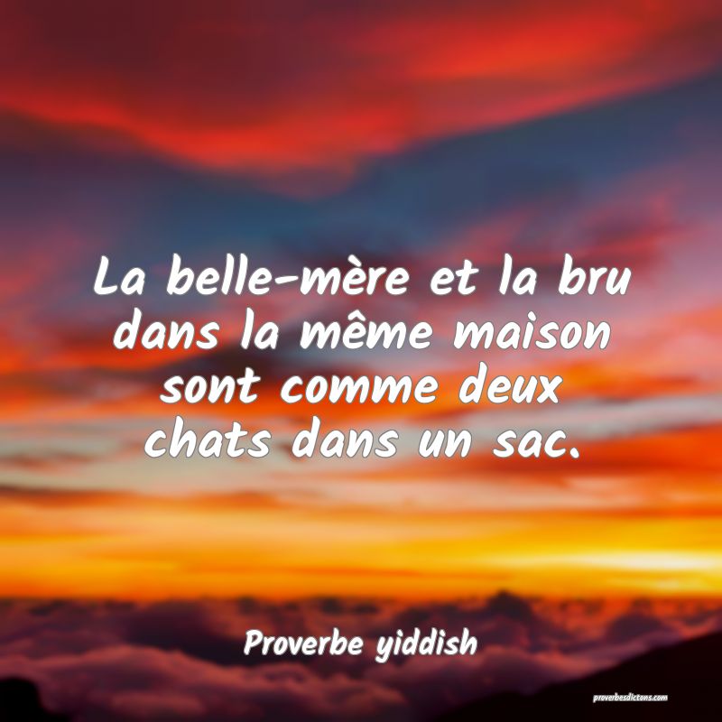 La belle-mère et la bru dans la même maison sont comme deux chats dans un sac.