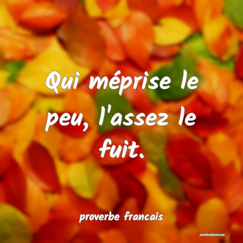 Qui méprise le peu, l'assez le fuit.