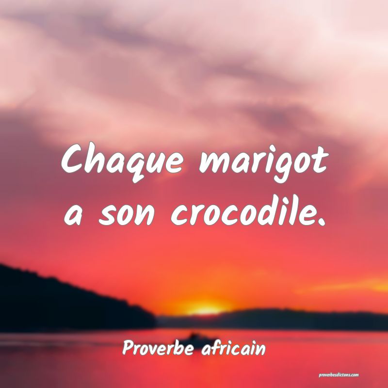 Chaque marigot a son crocodile.