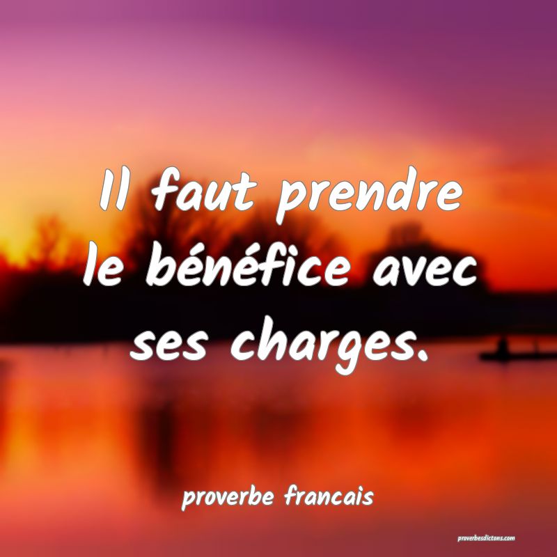 Il faut prendre le bénéfice avec ses charges.