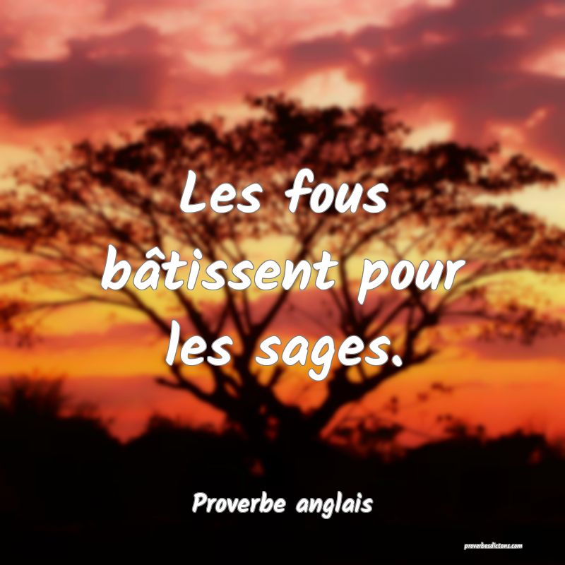  Les fous bâtissent pour les sages.