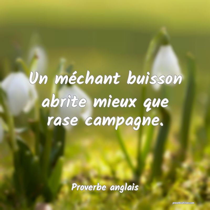  Un méchant buisson abrite mieux que rase campagne.
