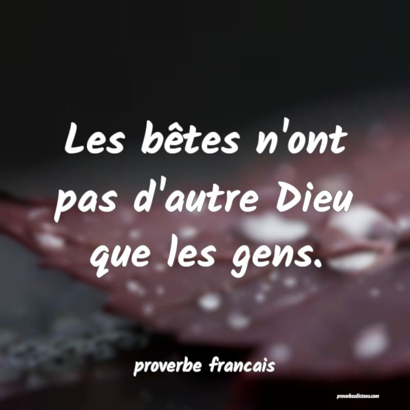 Les bêtes n'ont pas d'autre Dieu que les gens.
