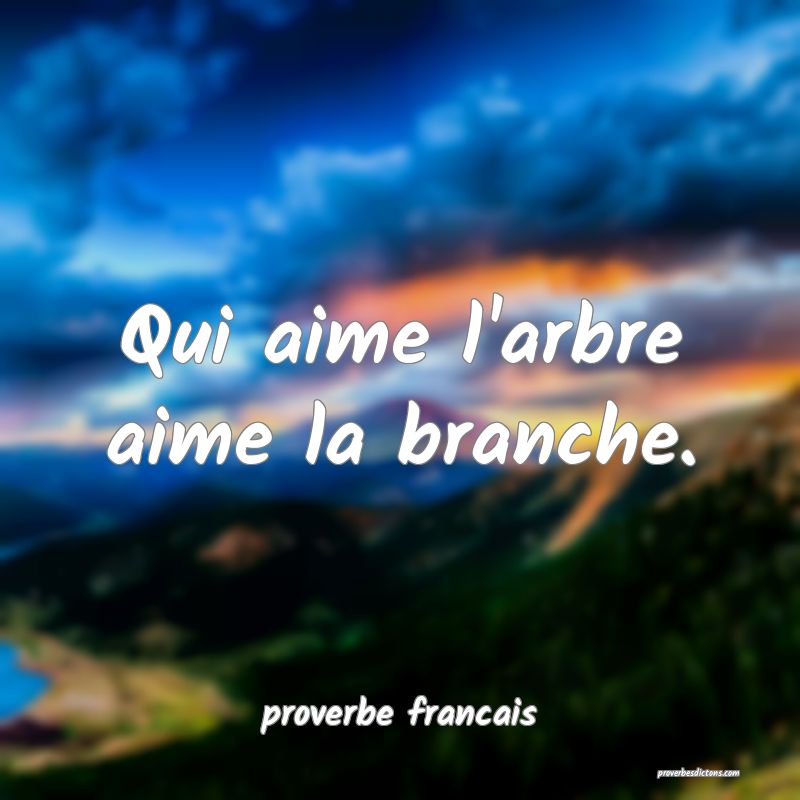 Qui aime l'arbre aime la branche.